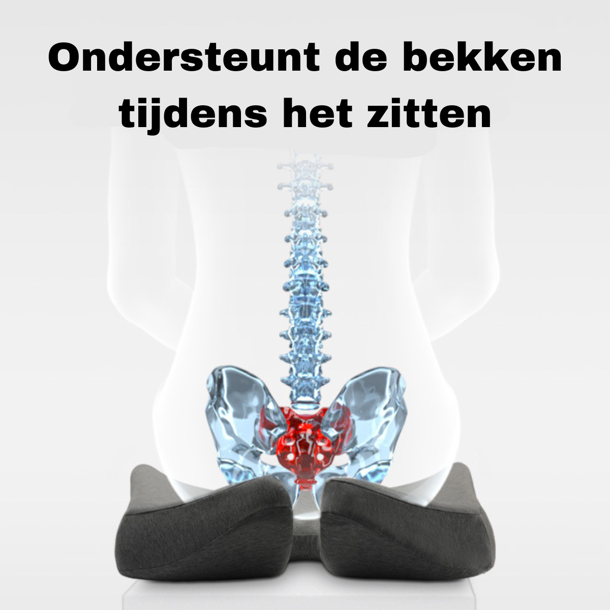 Ergonomisch zitkussen