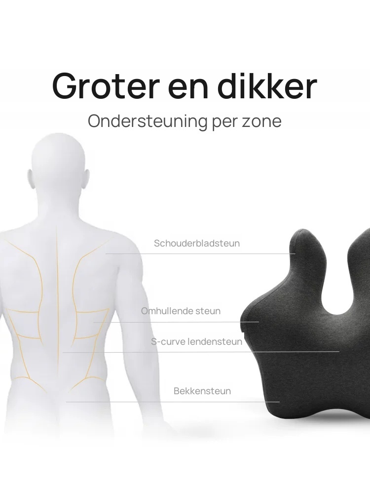 De vier steunzones van het rugkussen